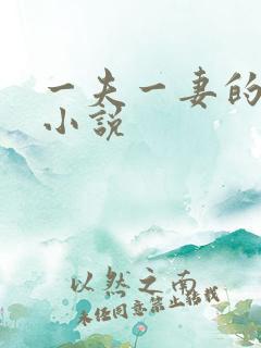 一夫一妻的玄幻小说