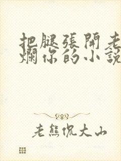 把腿张开老子臊烂你的小说