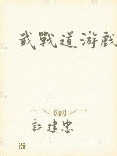武战道游戏
