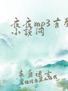 夜夜mp3有声小说网