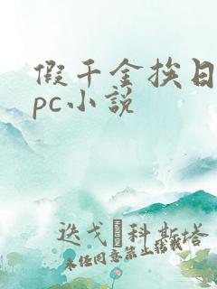 假千金挨日记npc小说