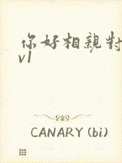 你好相亲对象1v1