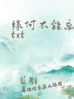 缘何不能忘记你txt