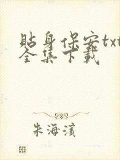贴身保安txt全集下载
