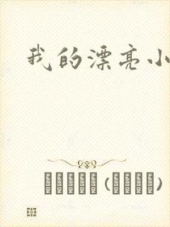 我的漂亮小后妈