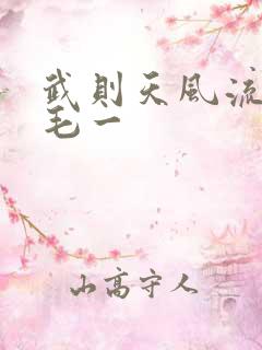 武则天风流艳情毛一