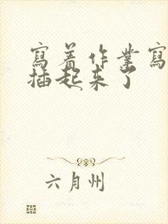 写着作业写着就插起来了