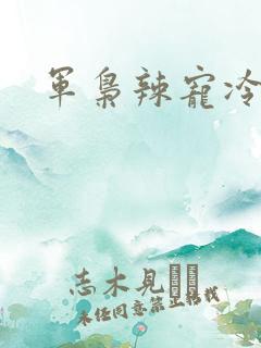 军枭辣宠冷妻