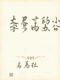 大尺寸的小黄说字多肉办公室