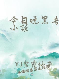 今日晚黑去见你小说