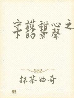 守护甜心之月光下的箫声