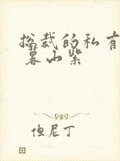 总裁的私有宝贝 暮山紫