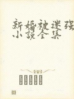 新婚被迷强系列小说全集