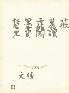 楚墨霆慕薇小说免费阅读