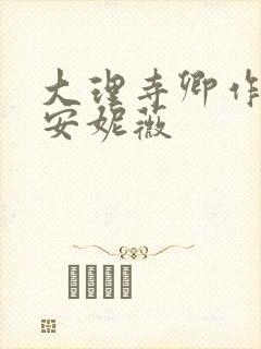 大理寺卿作者:安妮薇