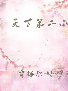 天下第二小说