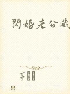 闪婚老公藏不住