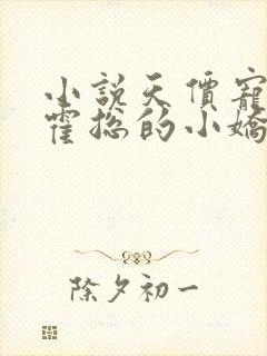 小说天价宠妻:霍总的小娇妻