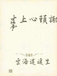 才上心头谢柳陆筝