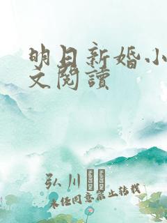 明日新婚小说全文阅读