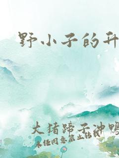 野小子的升官路