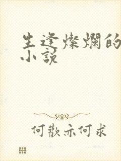 生逢灿烂的日子小说