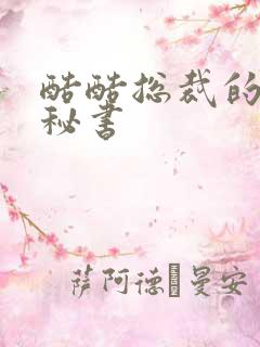 酷酷总裁的万能秘书