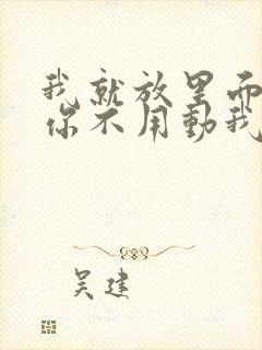 我就放里面不动你不用动我动