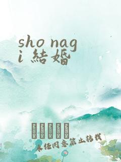 sho nagi 结婚