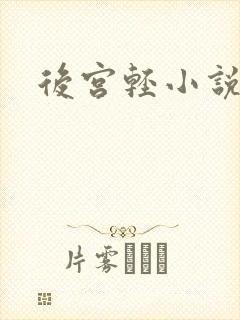 后宫轻小说