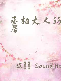 丞相大人的小通房