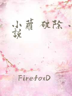 小萝 破除 小说