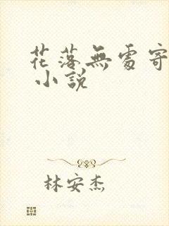 花落无处寄相思 小说