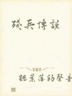 残兵传说