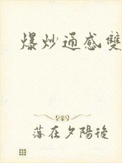 爆炒通感双胞胎