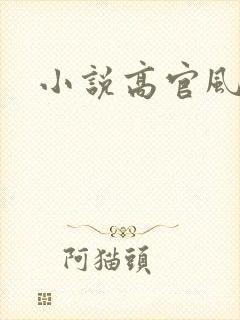 小说高官风流