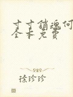 寸寸销魂何生祥全本免费