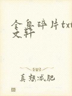 全息碎片txt文轩