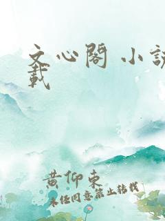 文心阁 小说连载