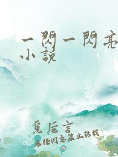 一闪一闪亮星星小说