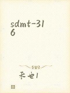 sdmt-316