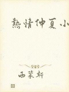 热情仲夏小说