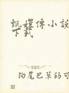 甄嬛传小说全集下载