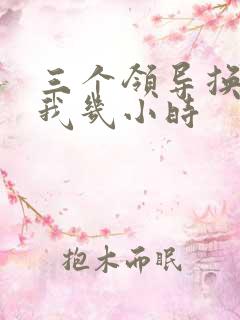 三个领导换着躁我几小时