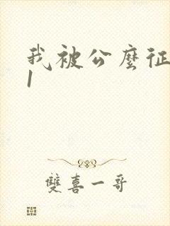 我被公么征服了1