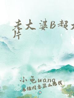 老大婆B超大图片