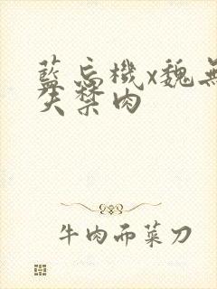 蓝忘机x魏无羡失禁肉