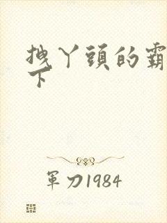 拽丫头的霸道殿下