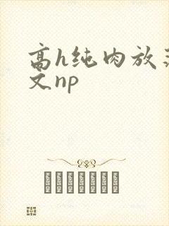 高h纯肉放荡h文np