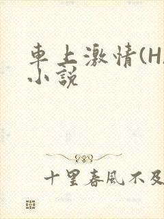 车上激情(H)小说